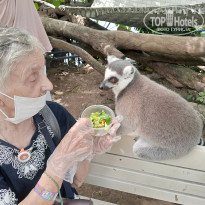 фото из отзыва ID 2738889