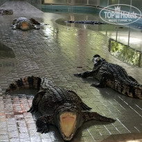 фото из отзыва ID 2738889