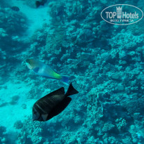 фото из отзыва ID 2733628