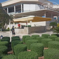 фото из отзыва ID 2733628