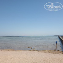 фото из отзыва ID 2733628