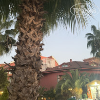 фото из отзыва ID 2738913