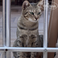 фото из отзыва ID 2738913