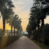 фото из отзыва ID 2738913