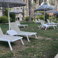 фото из отзыва ID 2738923