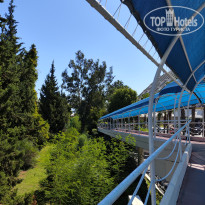 фото из отзыва ID 2738926