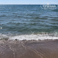 фото из отзыва ID 2738936