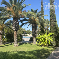 фото из отзыва ID 2738934