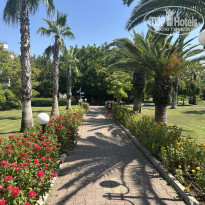 фото из отзыва ID 2738934