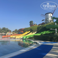 фото из отзыва ID 2738934