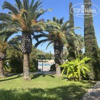 фото из отзыва ID 2738934