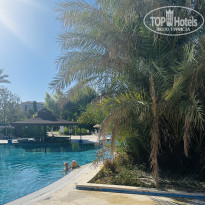 фото из отзыва ID 2738934