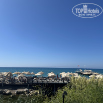 фото из отзыва ID 2738934