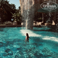 фото из отзыва ID 2738934