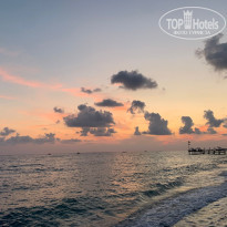 фото из отзыва ID 2738934