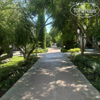 фото из отзыва ID 2738934