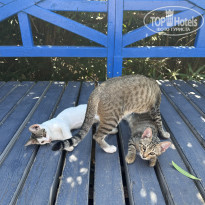 фото из отзыва ID 2738934