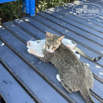 фото из отзыва ID 2738934