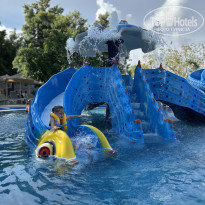 фото из отзыва ID 2738934