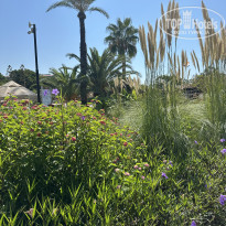 фото из отзыва ID 2738934