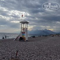 фото из отзыва ID 2737027