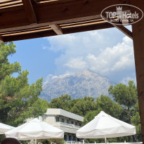 фото из отзыва ID 2738946