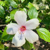 фото из отзыва ID 2738946