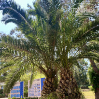 фото из отзыва ID 2738946