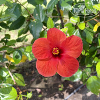 фото из отзыва ID 2738946