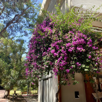 фото из отзыва ID 2738946