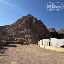 фото из отзыва ID 2738948