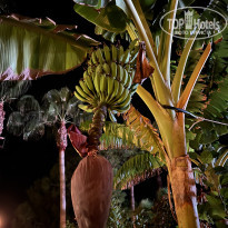 фото из отзыва ID 2738966