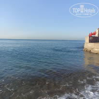 фото из отзыва ID 2738976