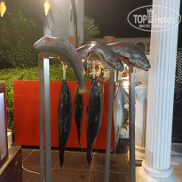 фото из отзыва ID 2738976