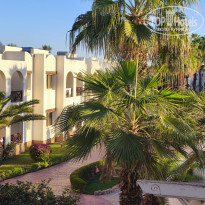 фото из отзыва ID 2738758