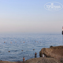 фото из отзыва ID 2738758