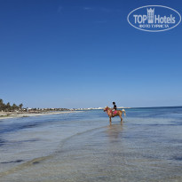 фото из отзыва ID 2739001