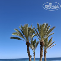 фото из отзыва ID 2739001