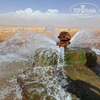 фото из отзыва ID 2739001