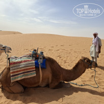 фото из отзыва ID 2739001