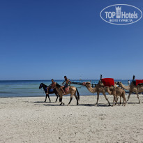 фото из отзыва ID 2739001