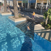 фото из отзыва ID 2739007