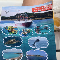 фото из отзыва ID 2739007