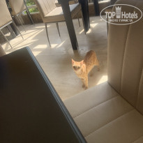 фото из отзыва ID 2739007