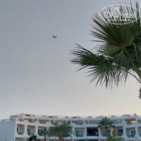 фото из отзыва ID 2739012