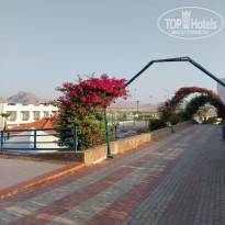 фото из отзыва ID 2739012