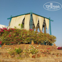 фото из отзыва ID 2739012