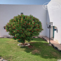 фото из отзыва ID 2739012