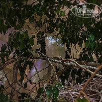 фото из отзыва ID 2739023