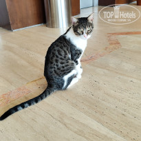 фото из отзыва ID 2739029